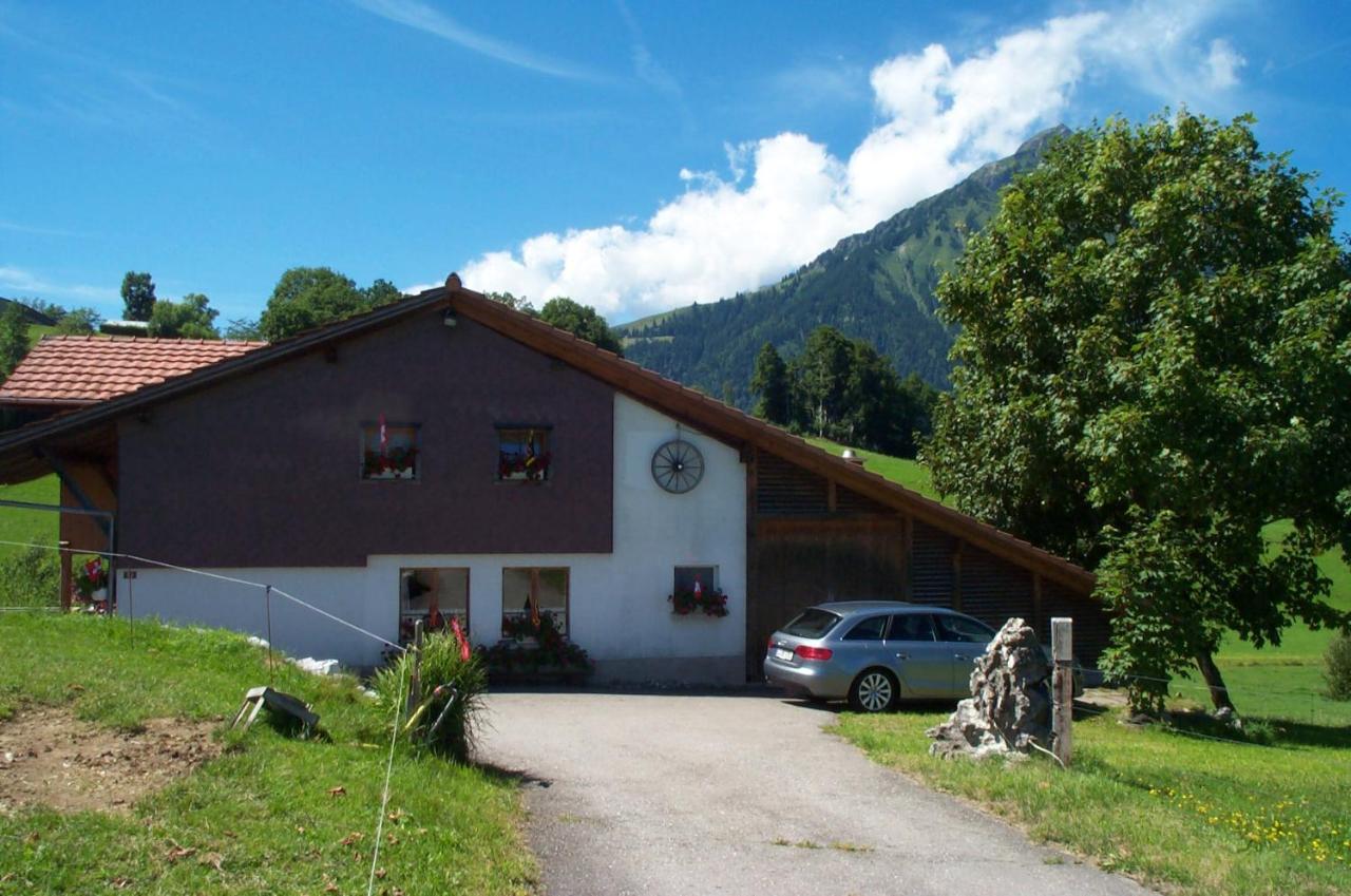 Ruhe Pur Apartment Aeschi Bei Spiez Exterior photo
